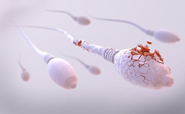 damaged sperm cell